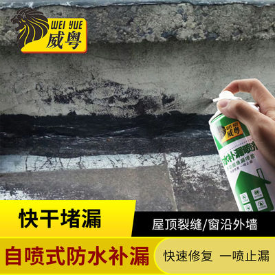 400ml Rubberized Coating Leak stopper Aerosol Paint